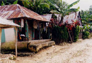 Typical country side _ Haiti